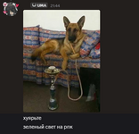 Снимок экрана 2026-04-17 215329.png