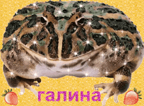 re0TY6ml.gif re0TY6ml.gif