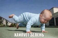 ХАЙПУЕТ ЗЕЛЕНЬ.jpg