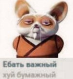 TjQRX2484NE.jpg