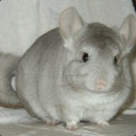 Кочерга