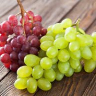 Vinogra2