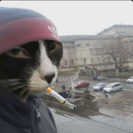 Алоха