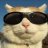 sugarcat
